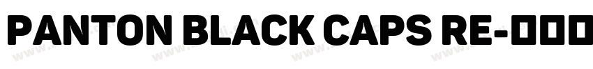panton black caps re字体转换